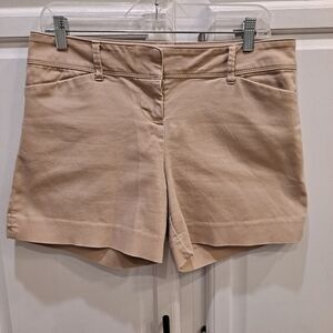 The Limited Tan Beige Bermuda Cotton Shorts